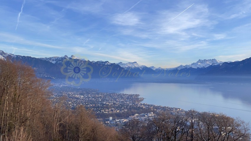 Montreux View Switzerland (5)