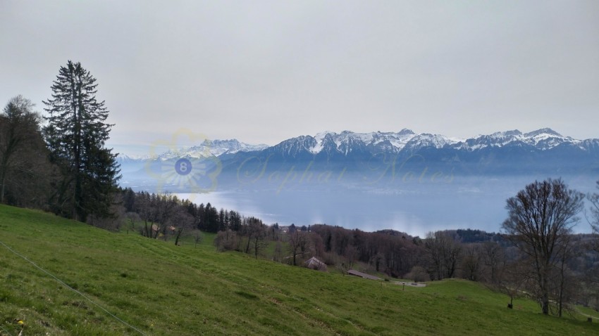 Montreux View Switzerland (4)