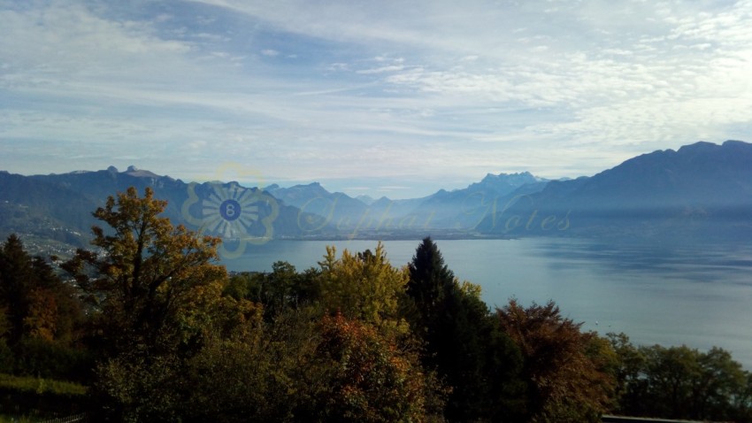 Montreux View Switzerland (3)