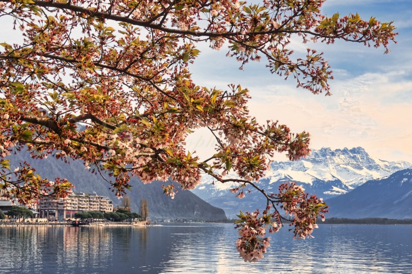 Montreux, Switzerland (3)