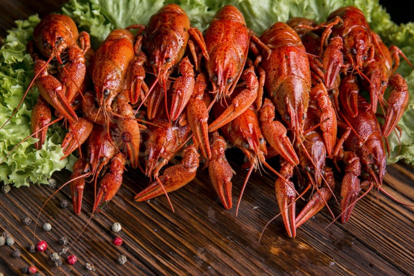 Delicious seafood lobster lettuce