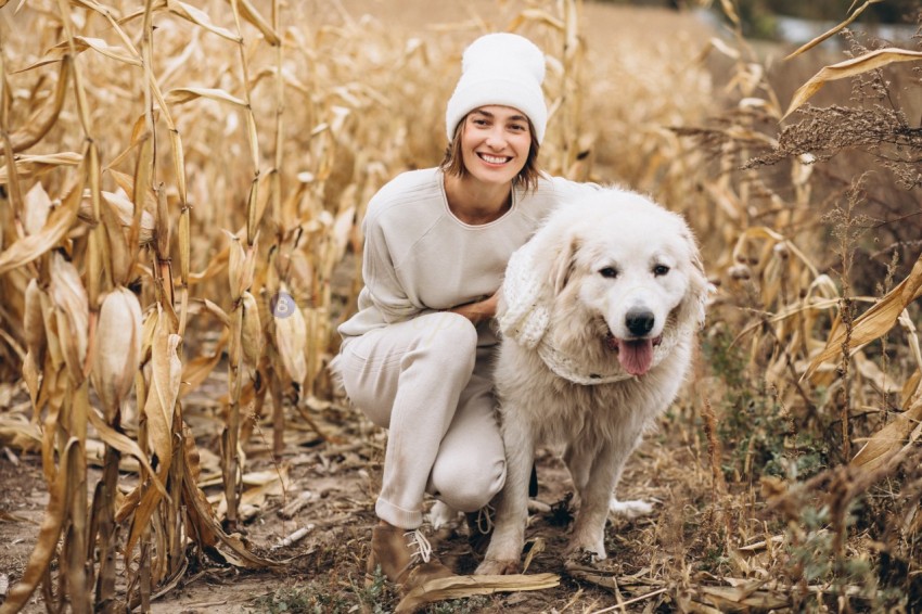 Beautiful woman walking out her dog in a field