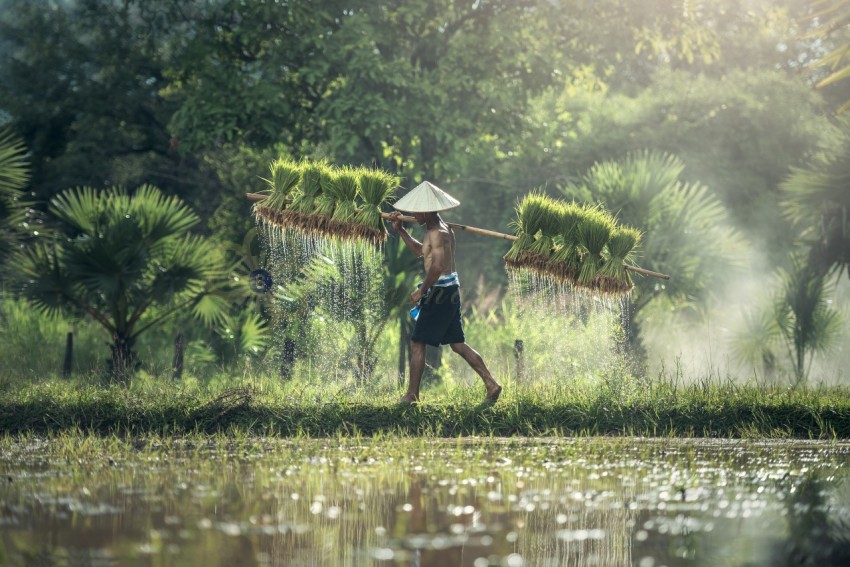 Full Length of Man on Water