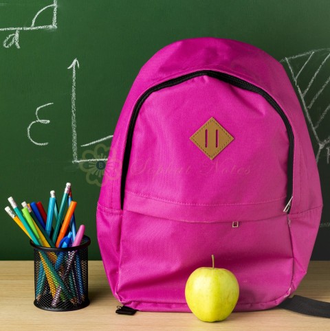 Front view backpack back school with apple pencils